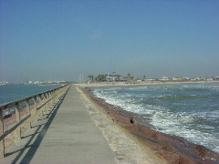 Surfside-December2003 154