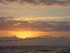 Surfside-December2003 069