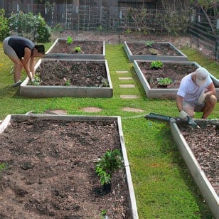 Fall Garden Planting